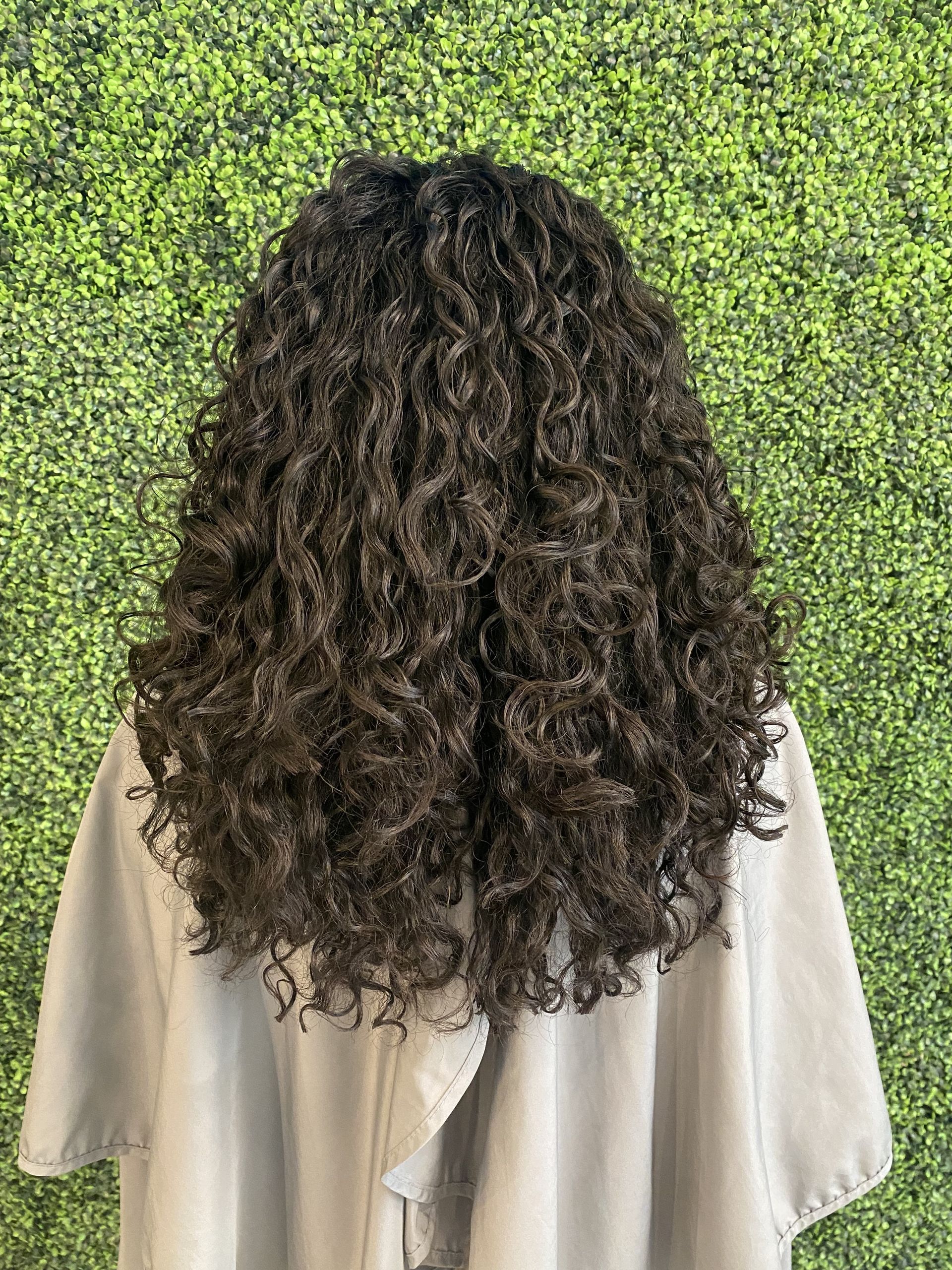 sld1 dry cut (1)